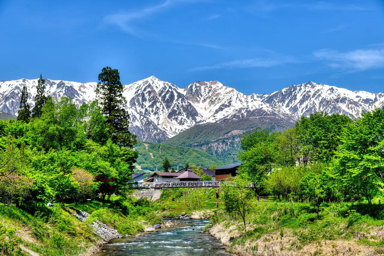 A small suspension bridge over a clear river in Hakuba, with snowy peaks behind fresh green trees