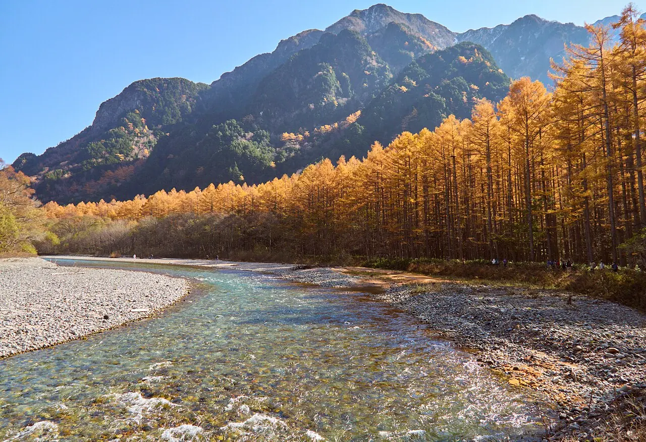 The clear Azusa River in Kamikochi with yellow larches and mountains in autumn