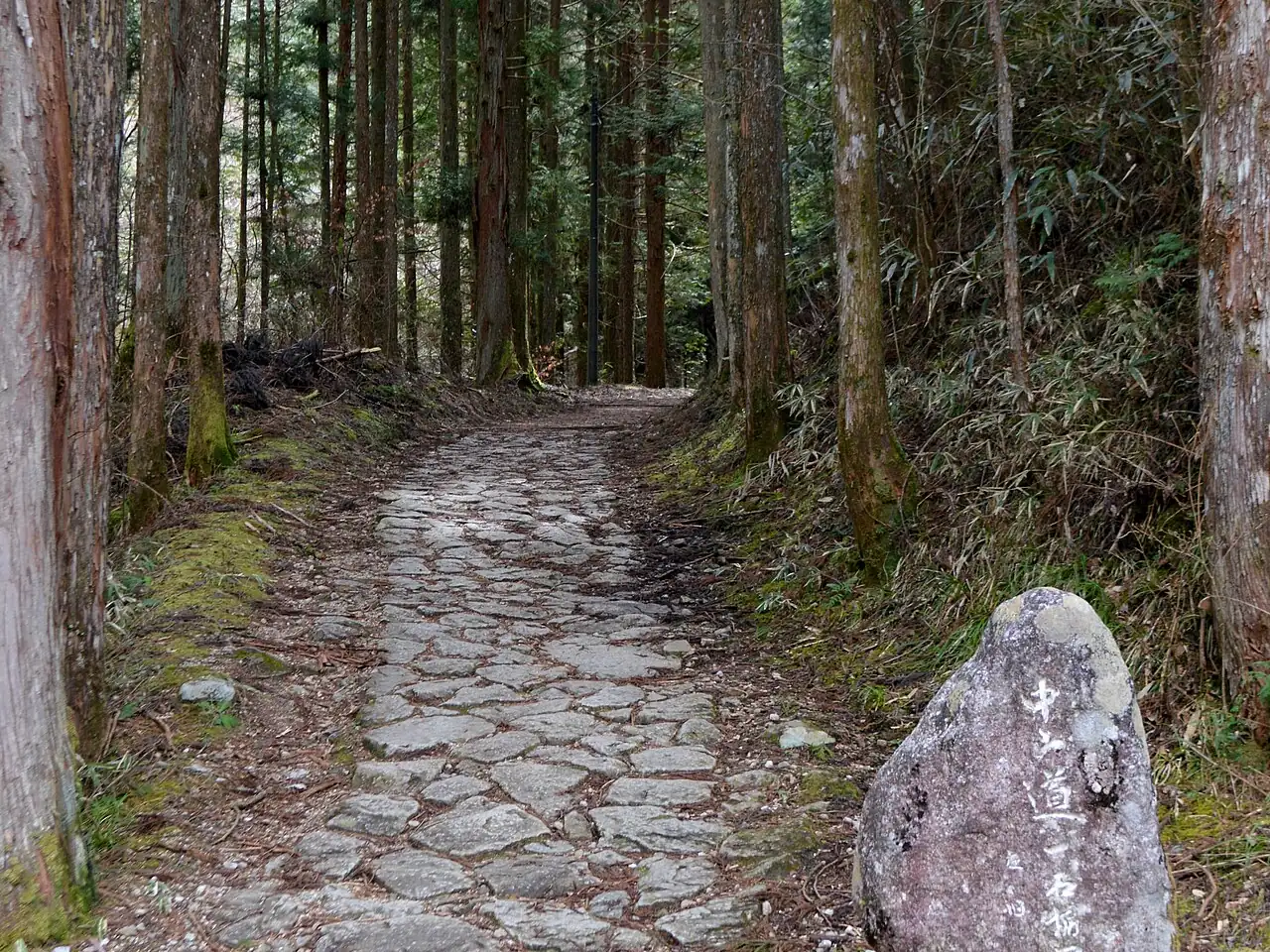 The stone-paved Nakasendo path through a cedar forest, with a carved stone marker at the side