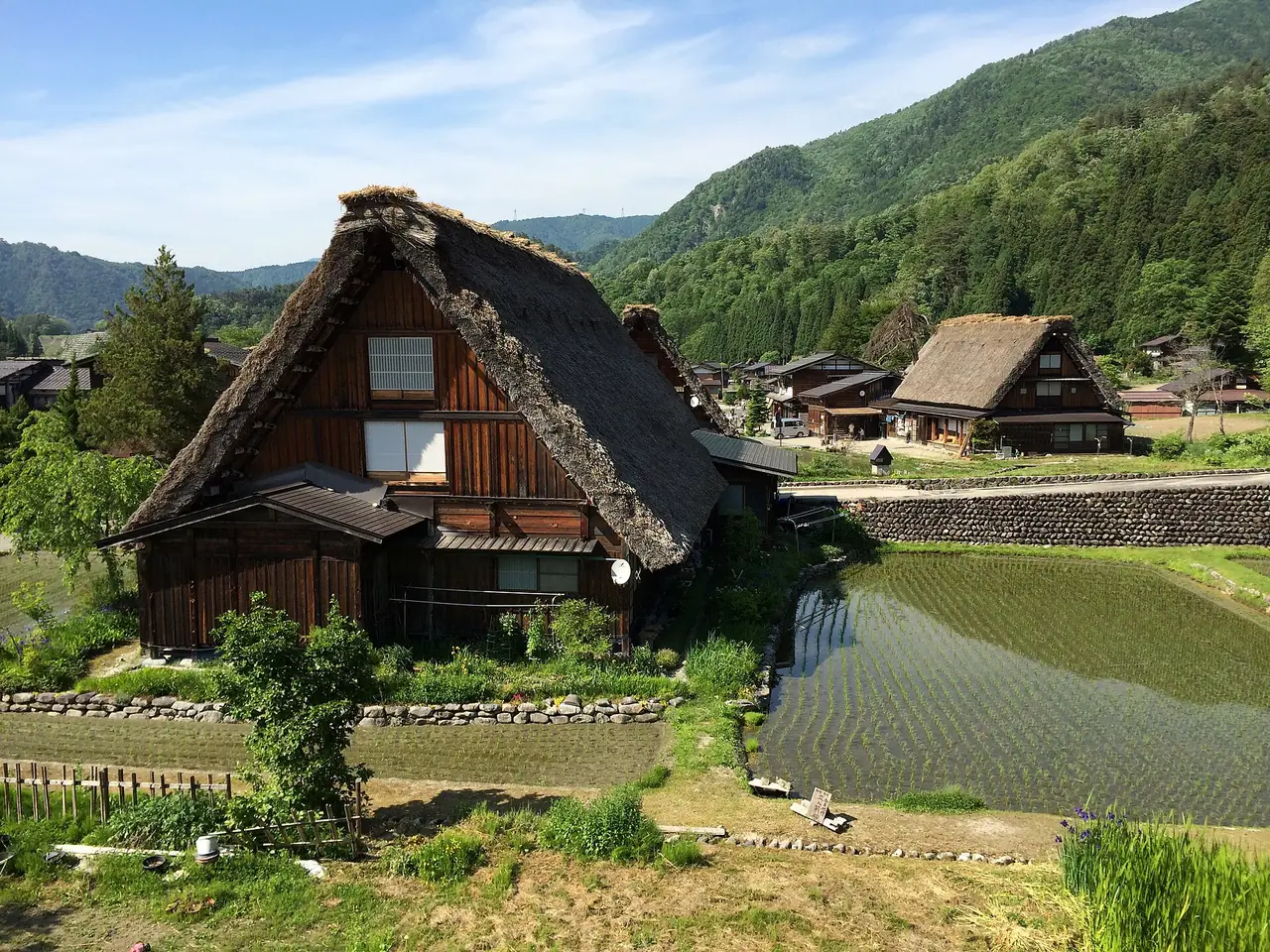 A thatched gassho-style farmhouse beside a flooded rice field in Ogimachi in June
